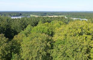 Martin Wagner zu Windrädern im Ebersberger Forst